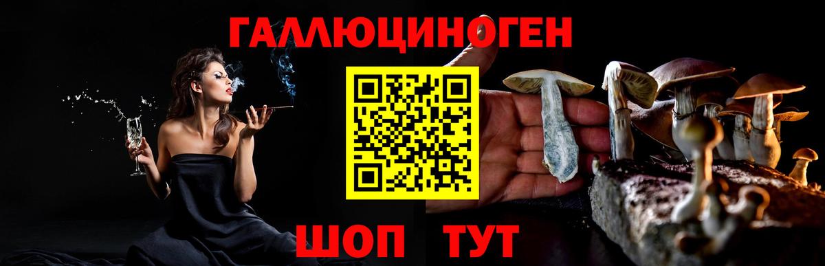 Галлюциногенные грибы Psilocybine cubensis Зерноград