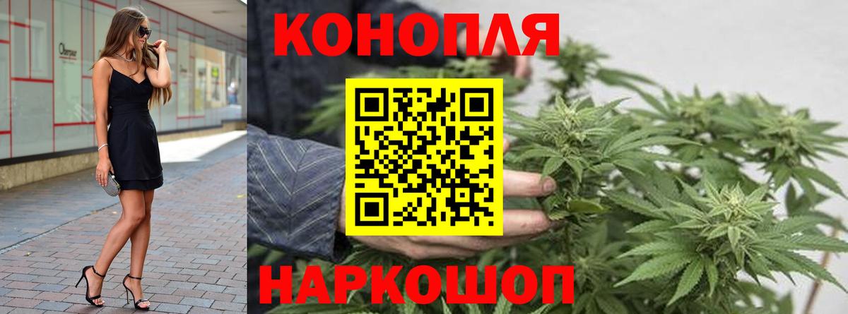 Канабис семена Зерноград